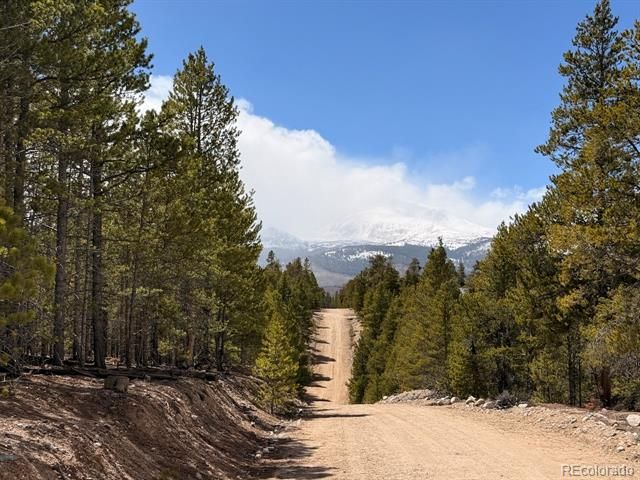 104 Spruce Drive, Twin Lakes, CO 81251
