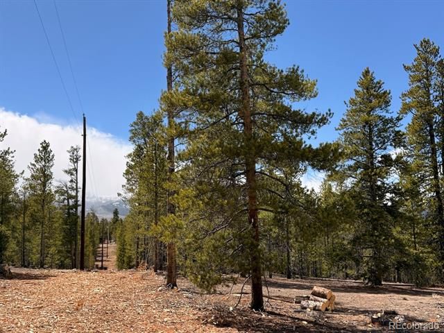 104 Spruce Drive, Twin Lakes, CO 81251