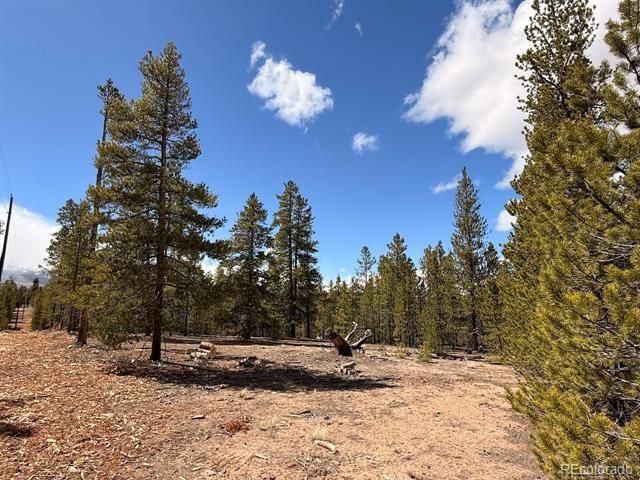 104 Spruce Drive, Twin Lakes, CO 81251