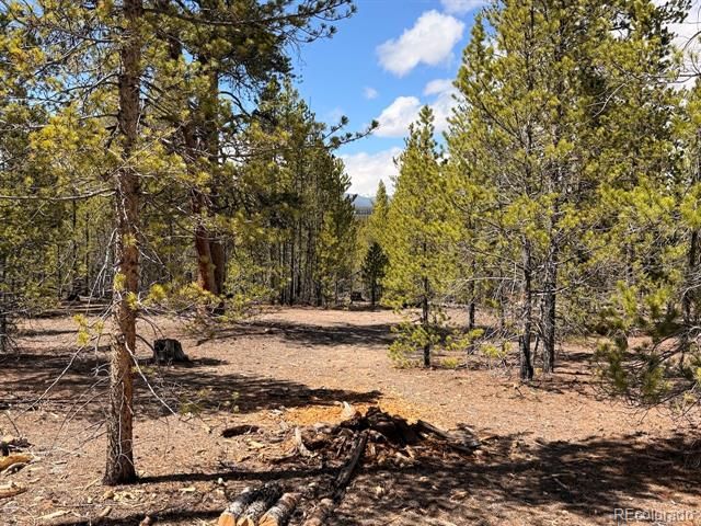 104 Spruce Drive, Twin Lakes, CO 81251
