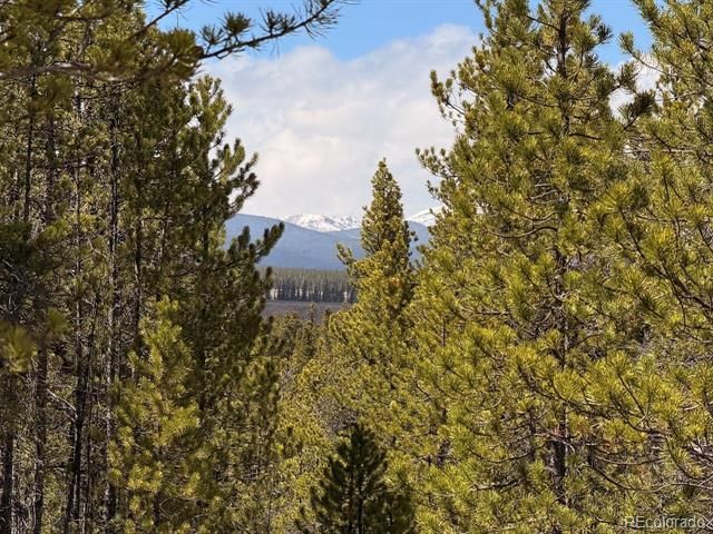 104 Spruce Drive, Twin Lakes, CO 81251
