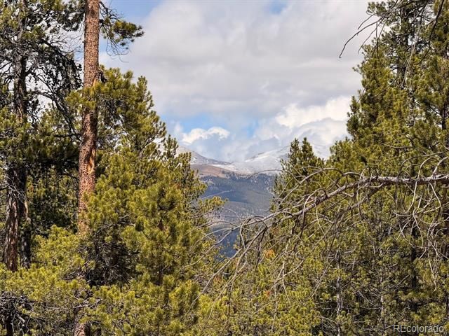 104 Spruce Drive, Twin Lakes, CO 81251