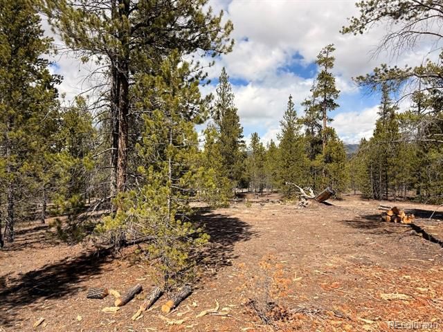 104 Spruce Drive, Twin Lakes, CO 81251