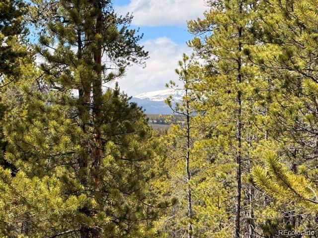 104 Spruce Drive, Twin Lakes, CO 81251