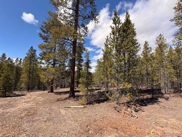 104 Spruce Drive, Twin Lakes, CO 81251