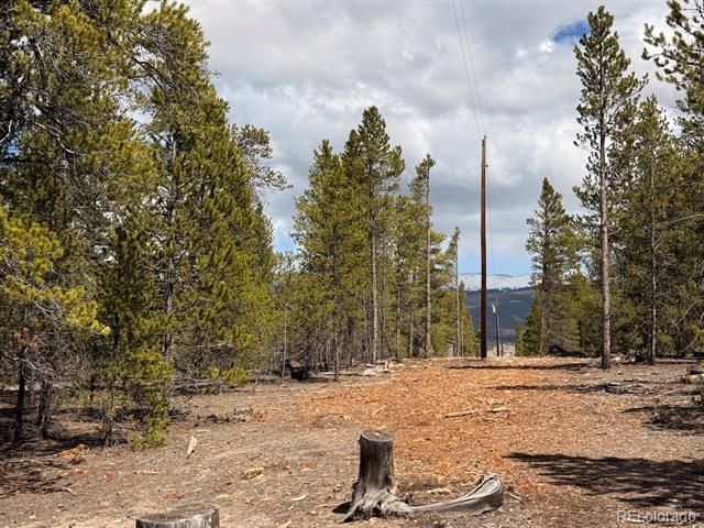 104 Spruce Drive, Twin Lakes, CO 81251