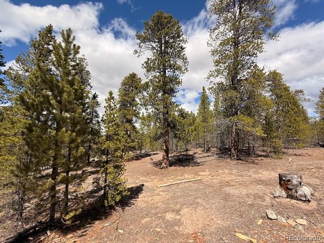104 Spruce Drive, Twin Lakes, CO 81251