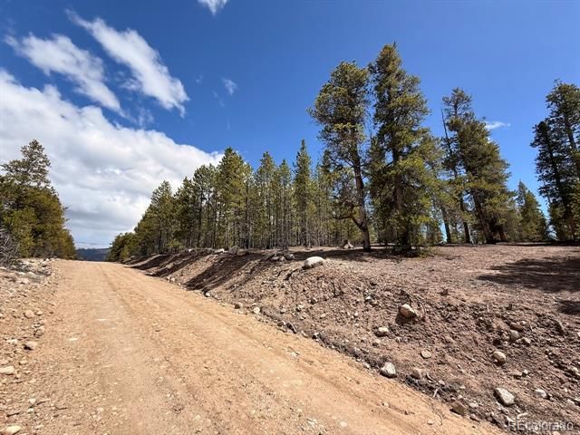 104 Spruce Drive, Twin Lakes, CO 81251