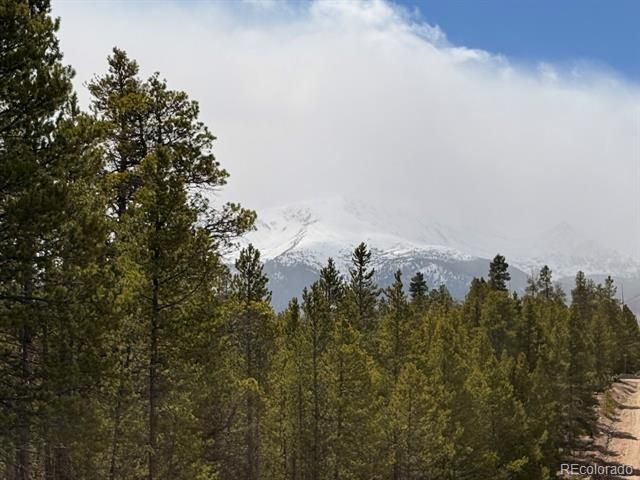 104 Spruce Drive, Twin Lakes, CO 81251