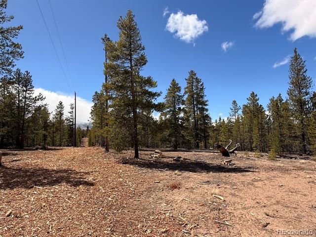 104 Spruce Drive, Twin Lakes, CO 81251