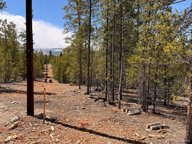 104 Spruce Drive, Twin Lakes, CO 81251