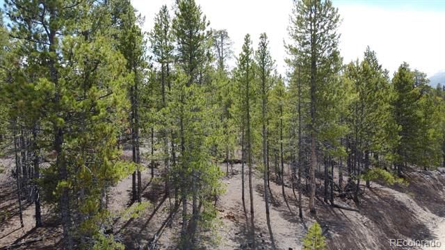 104 Spruce Drive, Twin Lakes, CO 81251