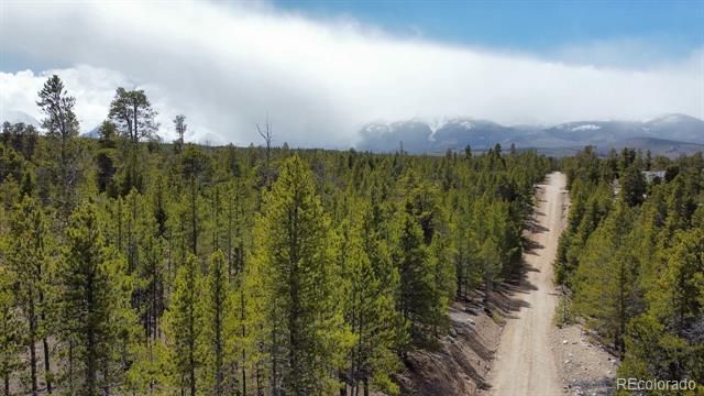 104 Spruce Drive, Twin Lakes, CO 81251
