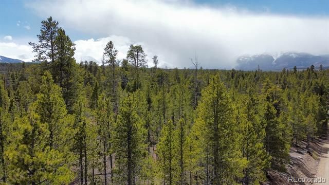 104 Spruce Drive, Twin Lakes, CO 81251