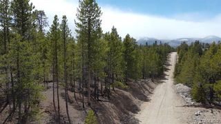 104 Spruce Drive, Twin Lakes, CO 81251