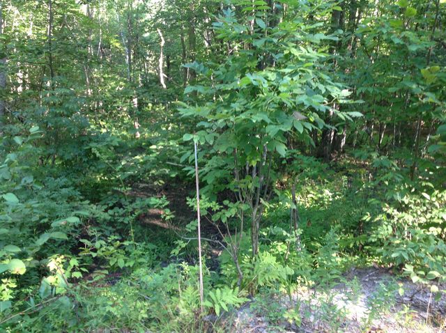 29 Stoneview Road, Ossipee, NH 03864