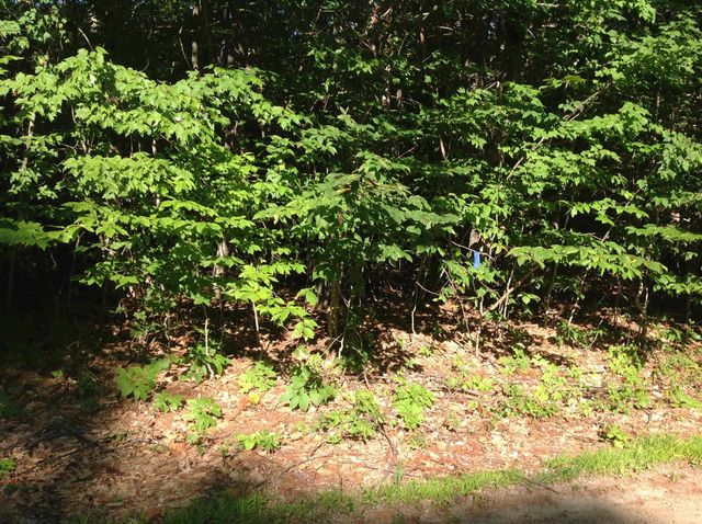 29 Stoneview Road, Ossipee, NH 03864