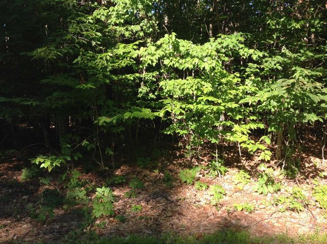 29 Stoneview Road, Ossipee, NH 03864
