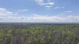 183 Jerry Smith Rd, Indian Mound, TN 37079