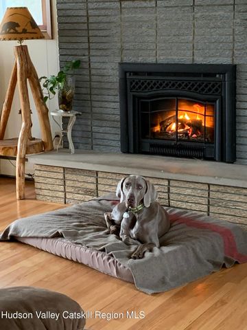 1169 New York 9j, Stuyvesant, NY 12173