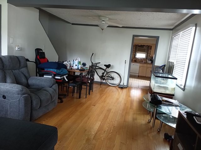 3253 N OCONTO Avenue, Chicago, IL 60634