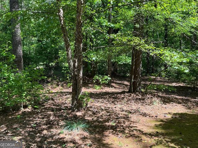 11974 Olmstead Drive, Fayetteville, GA 30215