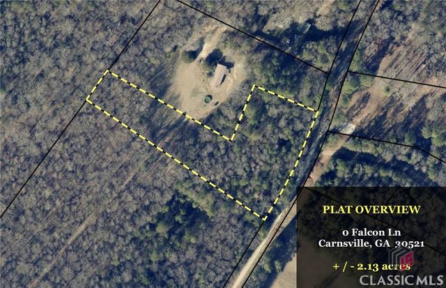 0 Falcon Lane, Carnesville, GA 30521