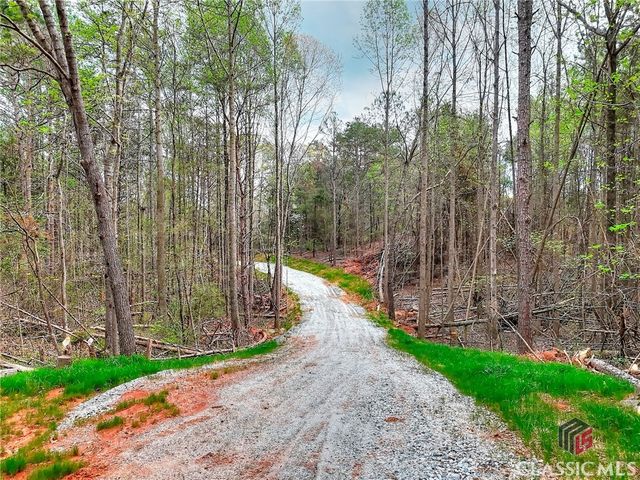 0 Falcon Lane, Carnesville, GA 30521