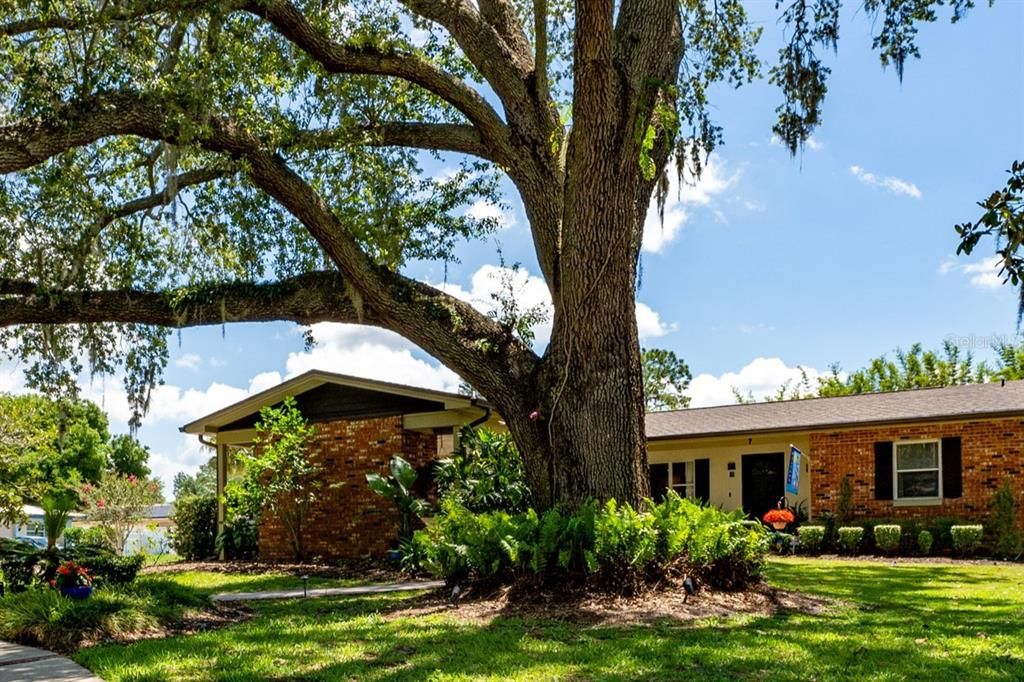 7 WESTCHESTER DRIVE, Kissimmee, FL 34744