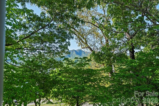 33 Vance Avenue, Black Mountain, NC 28711