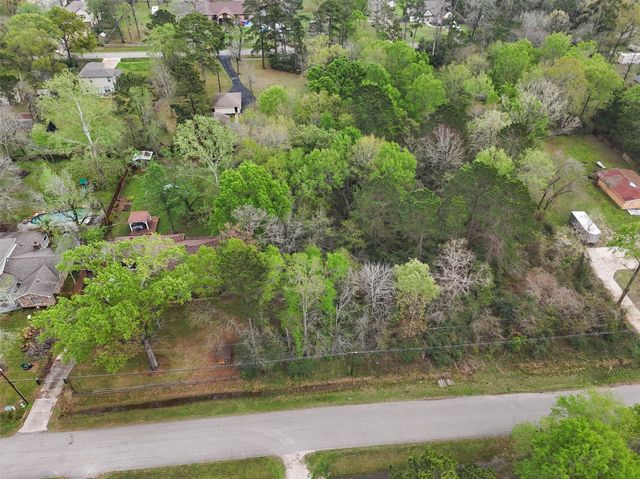 17051 Concord Drive, Conroe, TX 77385