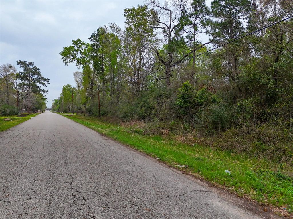 17051 Concord Drive, Conroe, TX 77385