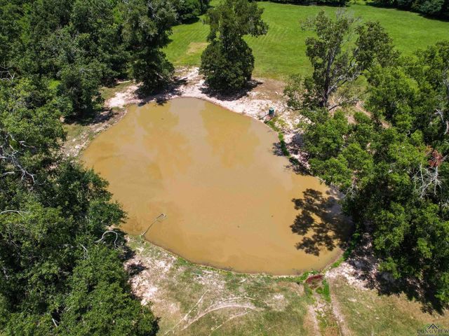 1485 LILAC LANE, Gilmer, TX 75644