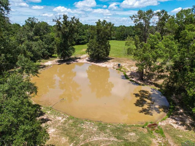 1485 LILAC LANE, Gilmer, TX 75644