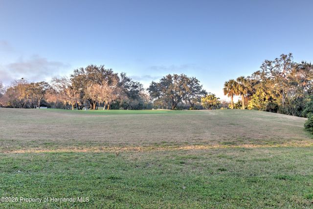 12912 Willoughby Lane, Hudson, FL 34667