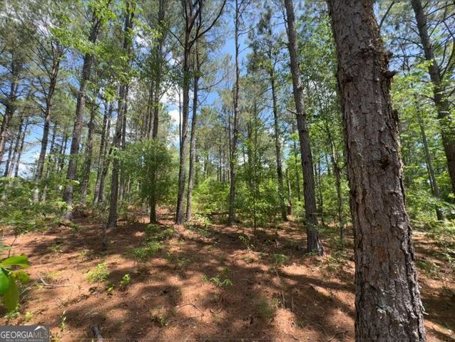 850 Buttermilk Road, Sylvania, GA 30467