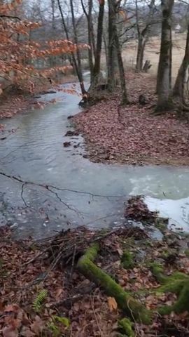 250 Justin Ln, Mcminnville, TN 37110