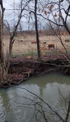 250 Justin Ln, Mcminnville, TN 37110