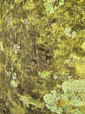 250 Justin Ln, Mcminnville, TN 37110