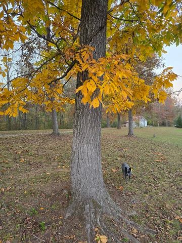 250 Justin Ln, Mcminnville, TN 37110