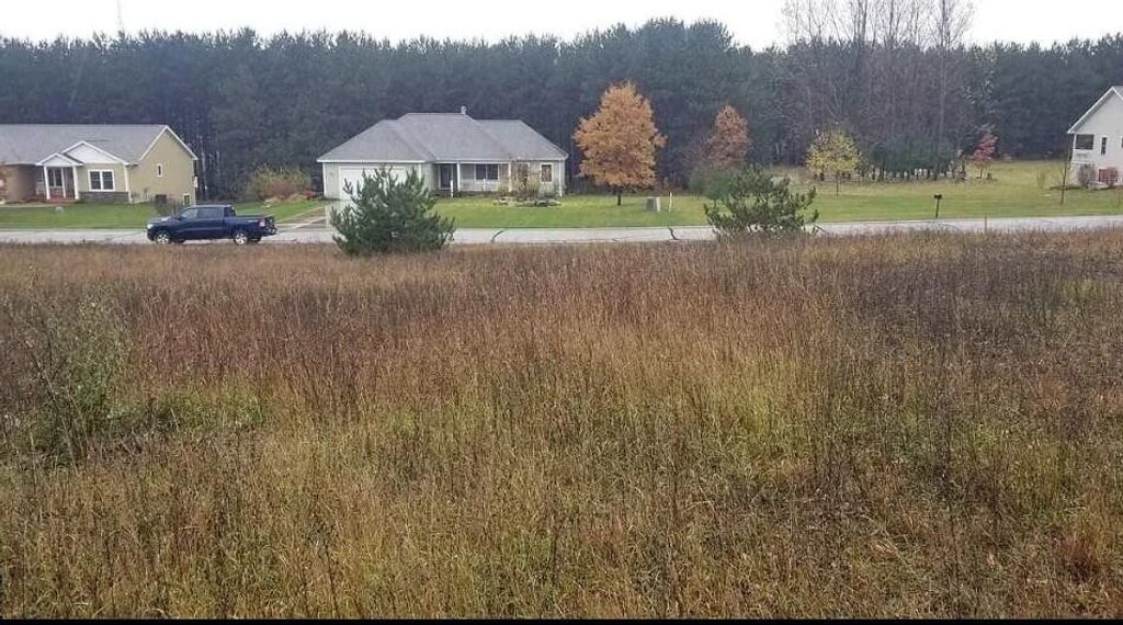 Long Wood Drive, Traverse City, MI 49685