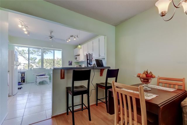 4710 BAY STREET NE 204, St Petersburg, FL 33703