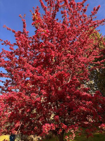 20275 Rogers Road, Bend, OR 97703