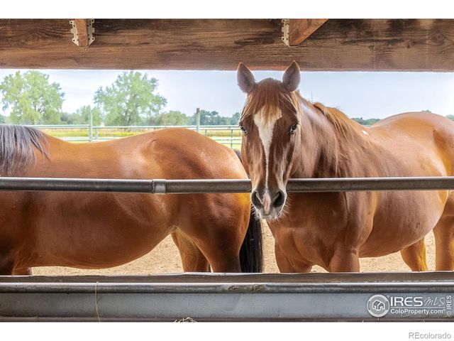 6789 Niwot Road, Longmont, CO 80503