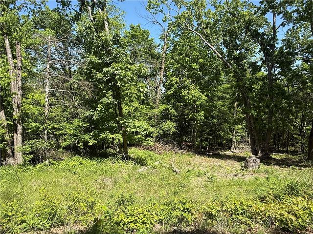 36 Venus Avenue, Holiday Island, AR 72631