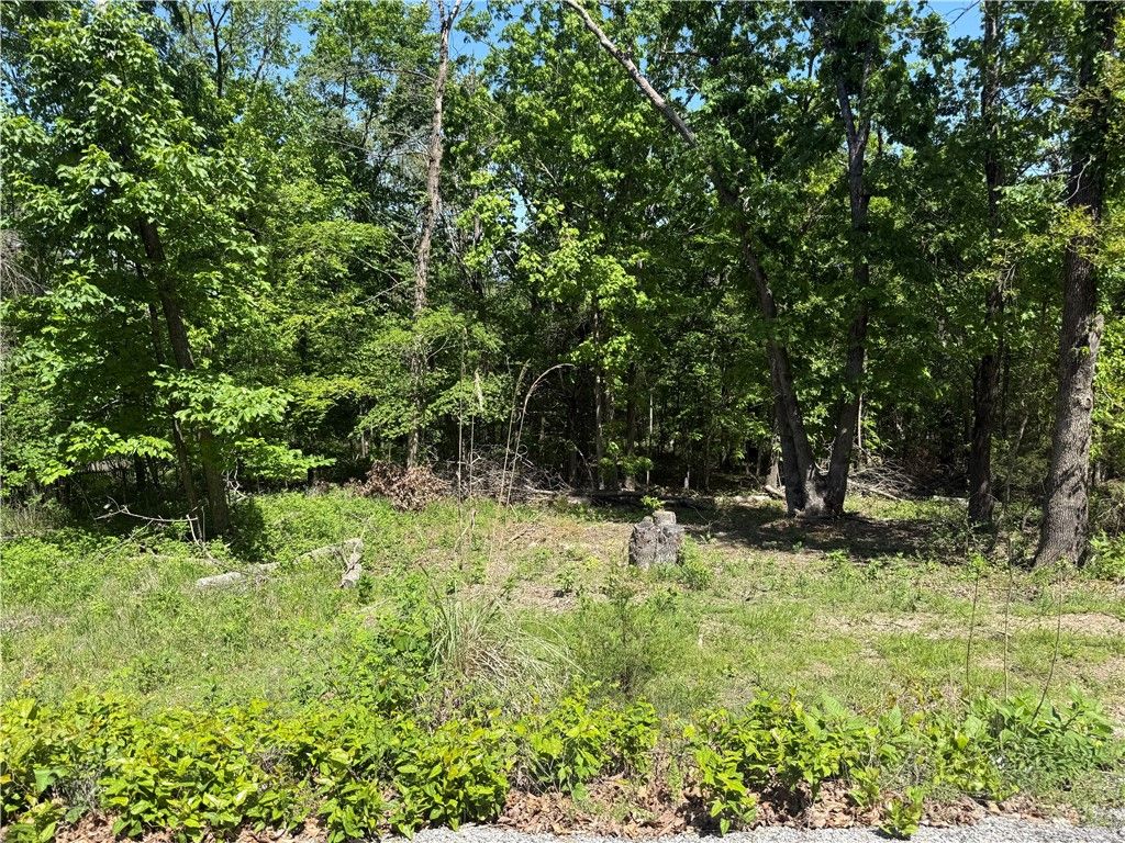 36 Venus Avenue, Holiday Island, AR 72631