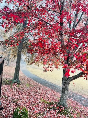 29 Lunsford Lane, Bella Vista, AR 72714