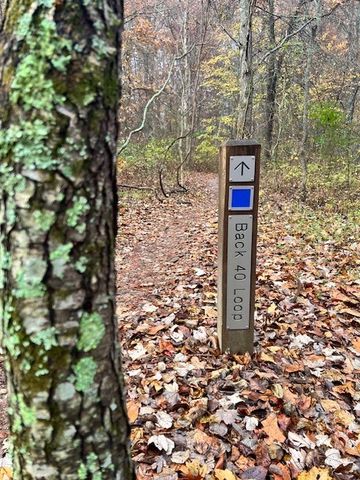 29 Lunsford Lane, Bella Vista, AR 72714