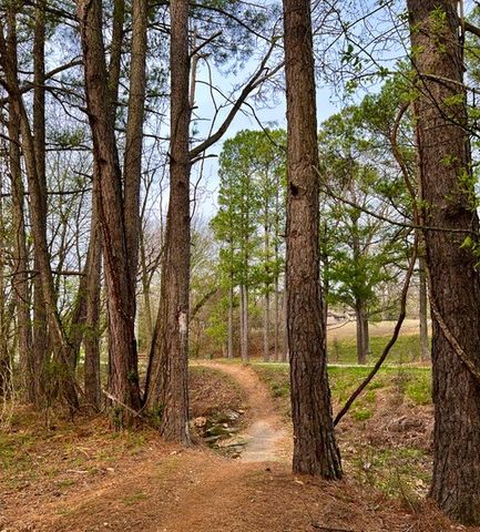 29 Lunsford Lane, Bella Vista, AR 72714