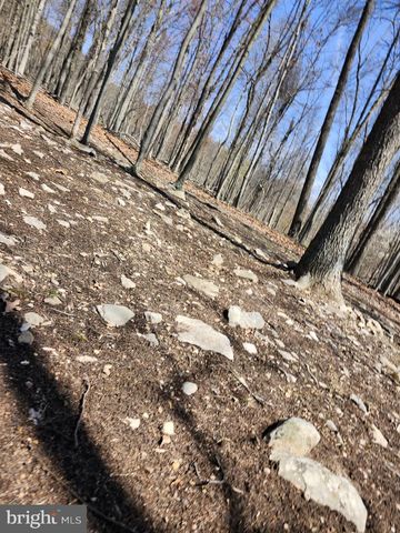 566 WILD APPLE LN, Paw Paw, WV 25434